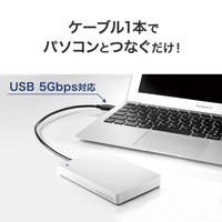 アイ・オー・データ機器 USB 5Gbps 対応 ポータブルHDD TV録画対応 1TB ホワイト HDPH-UTV1W 1台