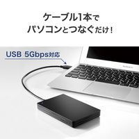 アイ・オー・データ機器 USB 5Gbps 対応 ポータブルHDD TV録画対応 2TB ブラック HDPH-UTV2K 1台