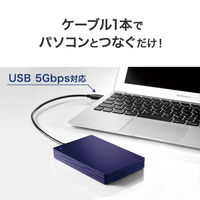 アイ・オー・データ機器 USB 5Gbps 対応 ポータブルHDD TV録画対応 1TB ネイビー HDPH-UTV1NV 1台