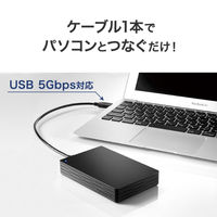 アイ・オー・データ機器 USB 5Gbps 対応 ポータブルHDD PC専用 5TB ブラック HDPH-UTV5DK 1台