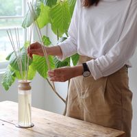 Nordic Collection リードディフューザー TS ライトサボン 1セット（1個×3） ライフオンプロダクツ