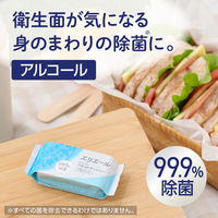 ウェットティッシュ エリエール ポケットウエットティシュー 除菌アルコールタイプ 携帯用 1セット（1パック(7枚×6個入)×3）大王製紙