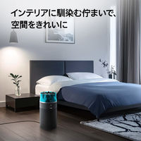 Dyson Hushjet Compact 空気清浄機 ブラック/ティール SP01BT 1台
