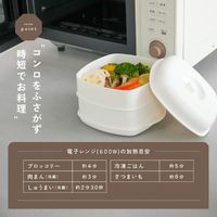 レンジ用せいろ 2段 R0610 1セット（1個×3）レンジ調理 時短 食洗機可能 ライズクリエイション