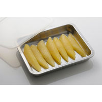 下村企販 蓋付ステンレスバット ワイド2個組 391558 1個（直送品）