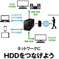 NAS（ネットワークハードディスク）12TB 2ドライブ リンクステーション HDD LS220D1202G 1台 バッファロー（直送品）