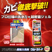 ウルトラハードクリーナー カビ用 本体 200g リンレイ