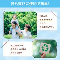 森永乳業 ピクニック カフェオレ 200ml 1箱（24本入） 紙パック 飲料 ドリンク 常温保存