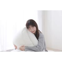 アイリスオーヤマ ふっくら布団 9点セット KFS-F9S レッド 1セット（直送品）