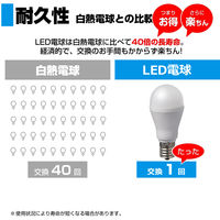 朝日電器 LED電球 ミニクリプトン形 LDA4D-G-E17-G4103-2P 1セット(2個入)