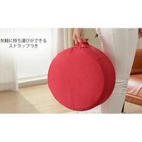 セルタン カバーが洗える 低反発ミニラウンドクッション 380×380mm ダリアンイエロー A1061-630YE 1台（直送品）