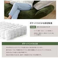 セルタン カウチソファ 1人掛 幅1270mm コーディロベージュ A282p-689BE 1台（直送品）