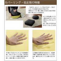 セルタン カバーが洗える 低反発ラウンドクッション 480×480mm ダリアンライトブルー A366t-605LBL 1台（直送品）