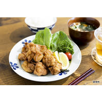 日清製粉ウェルナ から揚げ粉 まぶしタイプ  業務用 1袋（1kg）