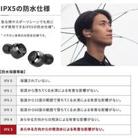 LIVIL audio 完全ワイヤレスイヤホン 完全独立型 Bluetooth イヤフォン LIV110 Qualcomm スペースブラック（直送品）