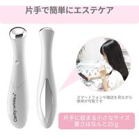 Areti（アレティ） 美顔器 電池式 イオン 導入 導出　b1046（直送品）