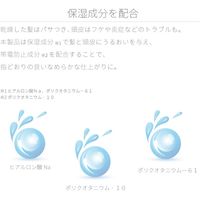 Areti（アレティ） ヒートガード シャンプー 熱 ダメージケア 保湿 補修（直送品）