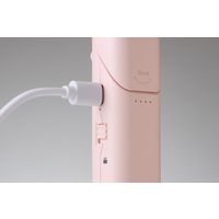 アピックスインターナショナル ミストハンディファン PK AHF-210 1個（直送品）