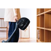 アピックスインターナショナル サーキュレーションファン AFC-948R 1個（直送品）