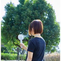 アピックスインターナショナル ミストハンディファン WH AHF-210 1個（直送品）