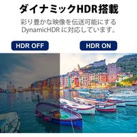 HDMI ケーブル HDMI2.1 ウルトラハイスピード 8K4K対応 3m ブラック CAC-HD21E30BK エレコム 1個