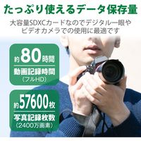 エレコム SDXCカード/データ復旧サービス付/UHS-I U1 70MB/s 512GB MF-FS512GU11R 1個（直送品）