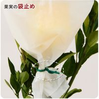 コモライフ ガーデンソフトワイヤー 390313 1個