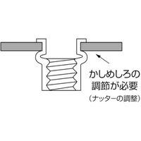 ロブテックス ブラインドナット”エビナット”（平頭・スチール製）　エコパック　（25個入） NSD6MP 1パック