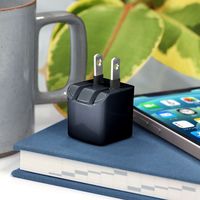 PGA mini電源アダプタ USB-Cポート ブラック PG-CPAC15A01BK 1個