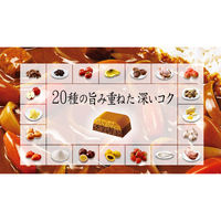 グリコ プレミアム熟カレー甘口 3個 カレールー