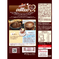 片岡物産　バンホーテン　グランカカオ　1箱（5本入）