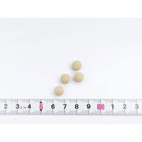 肝臓エキスオルニチン約30日分（120粒入り）【小林製薬の栄養補助食品】 1個 サプリメント 父の日