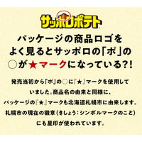 サッポロポテト つぶつぶベジダブル ミニ 24g 1セット(1袋×24) スナック菓子 小袋 小分け 食べきりサイズ カルビー