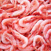 【ロハコ・アスクル限定】のりだくさんふりかけ 桜えび 瀬戸内海産海苔 40g 1セット（1個×2）磯駒海苔 オリジナル ご飯のお供 オリジナル