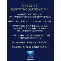 日清製粉ウェルナ 青の洞窟 海老の旨味豊かな海老と帆立のトマトクリーム 1人前 (140g) ×1個