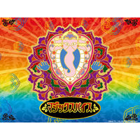 明治　マジックスパイス　スープカレースペシャルメニュー　マジスパ特製ペースト＆スパイスミックス付　307g　244839