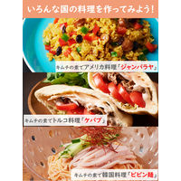 桃屋　キムチの素　190g