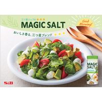 S&B　マジックソルト　80g　2個　エスビー食品