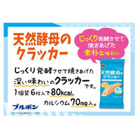 クラッカー 小袋 食べきりサイズ トッピング材料 天然酵母のクラッカー 48枚入 1セット（1個×6）