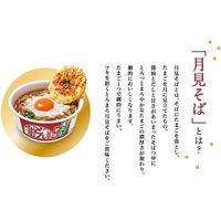 カップ麺 日清のどん兵衛 特盛天ぷらそば（西日本版） 日清食品 12個