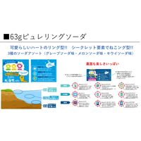 グミ 食べきりサイズ ピュレリングソーダ 3種アソート 63g 1セット（1個×6）