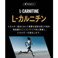 VAAM ヴァームアスリート パウダー（12袋入） 3個 明治 アミノ酸