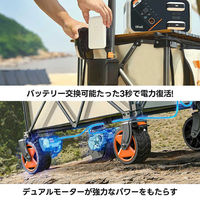 イチネンアクセス 電動キャリーワゴン W2 PRO 1台（直送品）