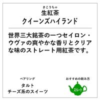 神戸紅茶 生紅茶 クイーンズハイランド 1セット(1箱(16バッグ入)×3) 個包装