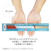 箸 ほんとうにすべらないお箸 ちどり柄RD 介護 高齢者 1膳