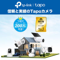 TP-LINK フルワイヤレスセキュリティカメラ TapoC460 1台