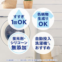 ナノックスワン（NANOX one）スタンダード 業務用 洗濯洗剤 濃縮 液体 詰め替え バックインボックス 10kg 1個 ライオン (旧品)