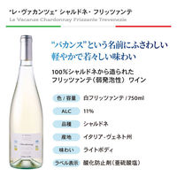 イタリアスパークリングワイン＆フリッツァンテ4本セット 1セット（750ml×4本）　モンテ物産（わけあり品）