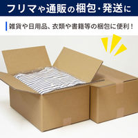 ノーブランド 底面B4 100サイズ ダンボール CB04-0010-AS 4573639424203 1セット(10枚入)（直送品）