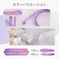 オウルテック グラデーションカラー 急速充電2.4A/データ転送 Lightningケーブル OWL-CBAUAL10-AU 1個（わけあり品）